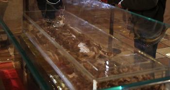 Dalle reazioni alle truffe in nome di San Francesco alla fuga di gas nell'asilo nido